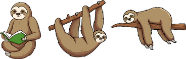 Sloth with a book; sloth climbing on a branch; sloth resting on a branch.