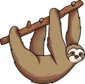 Sloth climbing a branch.